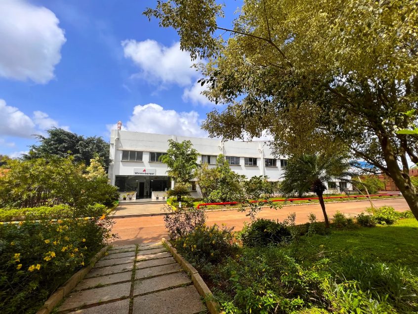 Kunigal plant