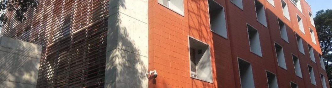 Montmorillonite clay picture